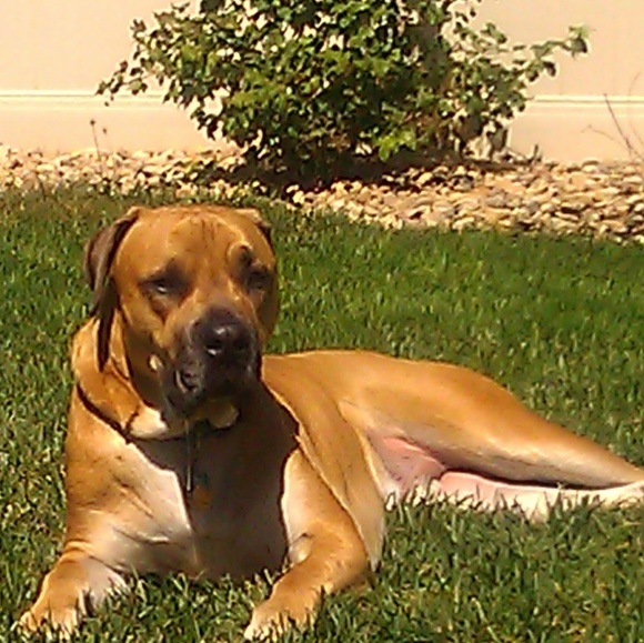 Lupe Fiasco - Picture 3 of 7